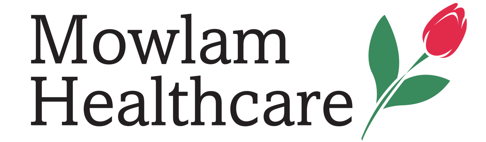 mowlam Logo high res