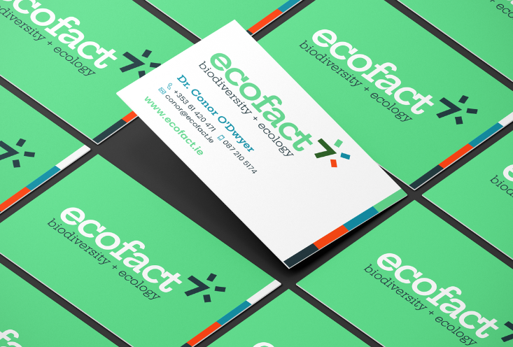 branding-project-img