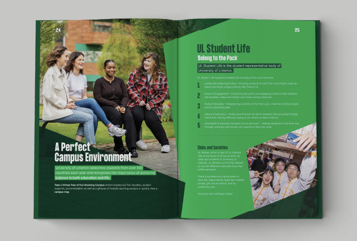 branding-project-img